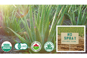 關於調和綠（Harmony Green），本公司是經營使用蘆薈製成的產品。