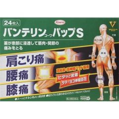 【興和】 萬特力 鎮痛 貼布S 24片 4987067264100image