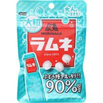 【森永製菓】 大雜糧鬆餅 41g 4902888232374image