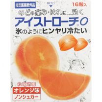 【Nippon Zoki Pharmaceutical】 冰錠 O（橙味）16粒 4987174715212image