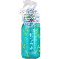 【Cosmetic Roland】 保濕肌膚 藥用日本薄荷水噴霧 250ml 4936201105878image
