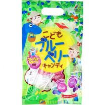 【Unimat Riken】 兒童藍莓糖 10 sticks 4903361440866image