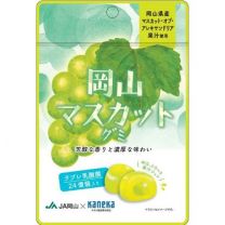 【Kaneka Foods】 岡山麝香軟糖 Labret 乳酸菌 40g 4582465588515image