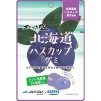 【Kaneka Foods】 北海道 Haskap 軟糖 Labret 乳酸菌 40g 4582465588645image