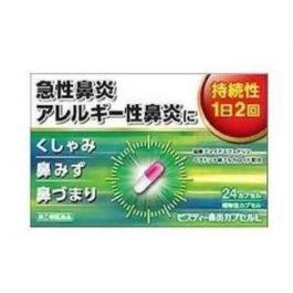 【大昭製藥】 New Visty 鼻炎膠囊L 24粒