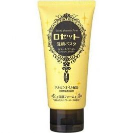 【ROSETTE】 Face Wash Pasta Ghasur Bright 120g