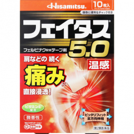 【Hisamitsu Pharmaceutical】 Fatus 5.0 Warmth 10 sheets