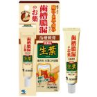 【Kobayashi】 Shouyo Ointment 20g 4987072074244image